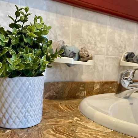 Cozy And Sunny Over The Rooftops アパート *